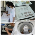 Hot Fix Coldestone Heat Transfer Printing 