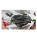 Adesivos de transferência de calor plastisol para camisetas, designs personalizados de alta qualidade por atacado 